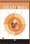 Rotafolio Anatomia 1