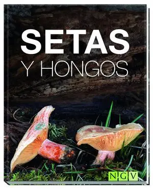 Setas y Hongos