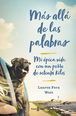 Más Allá de las Palabras