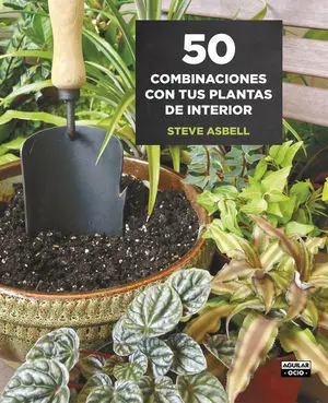 50 Combinaciones con Tus Plantas de Interior