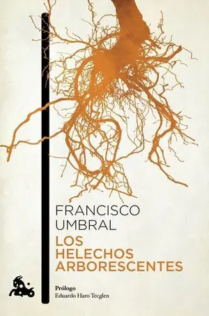 Los Helechos Arborescentes