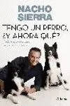 Todo lo que Debes Saber Sobre tu Perro