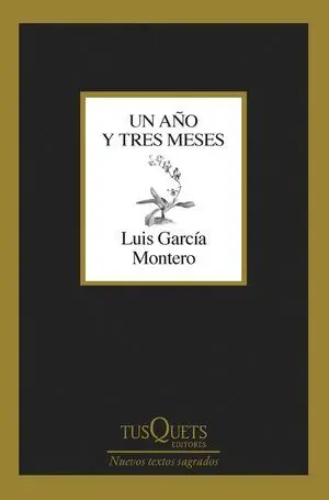 Un Año y Tres Meses