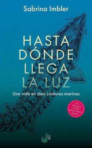 Hasta Donde Llega la Luz