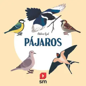Naturaleza Pajaros