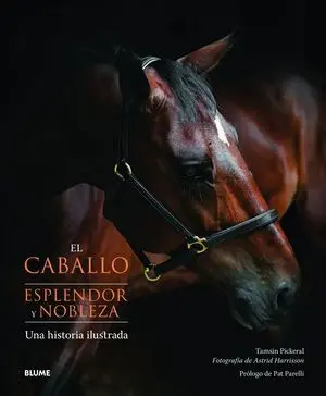El Caballo. Esplendor y Nobleza