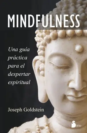 Mindfulness. Una Guia Practica para el Despertar Espiritual