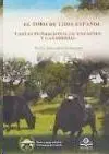 Toro de Lidia Español