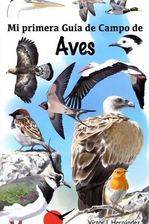 Mi Primera Guia de Campo de Aves