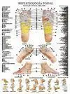 Laminas. Reflexologia Podal (N. e. )