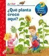 ¿Qué? Junior. ¿Qué Planta Crece Aquí?