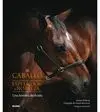 El Caballo. Esplendor y Nobleza