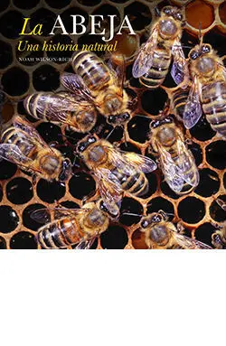 Abeja, la. Una Historia Natural