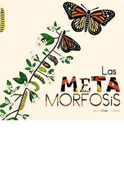Metamorfosis, las