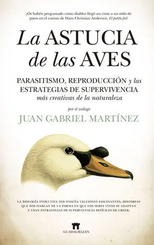 Astucia de las Aves, la