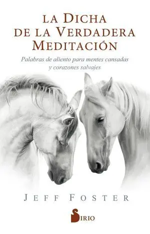La Dicha de la Verdadera Meditación
