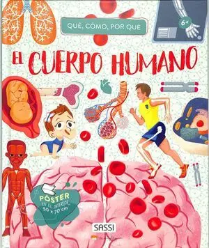 Cuerpo Humano Cuando Como por que