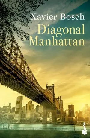 Diagonal Manhattan
