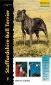 Staffordshire Bull Terrier