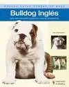 Bulldog Ingles