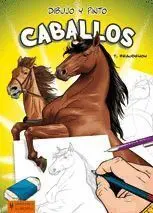 Dibujo y Pinto Caballos