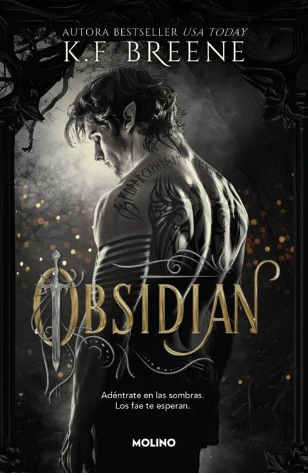 Fae de las Sombras, los 1. Obsidian