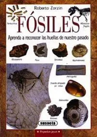 Fosiles Aprenda a Reconocer las Huellas de nuestro