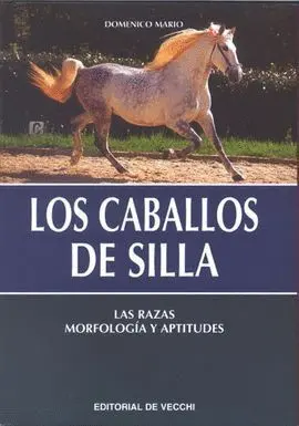 Los Caballos de Silla