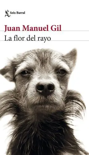 La Flor del Rayo