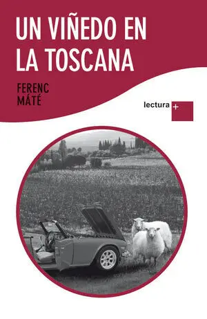 Un Viñedo en la Toscana