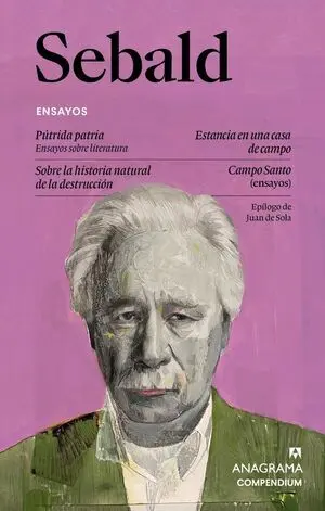 Ensayos