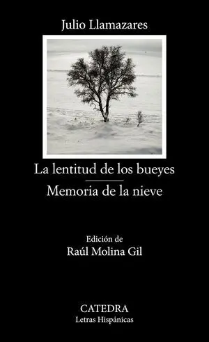 Lentitud de los Bueyes / Memoria de la Nieve, la