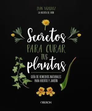 Secretos para Curar Tus Plantas