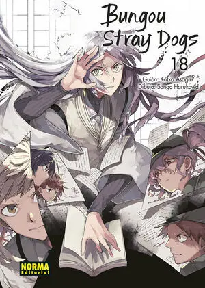 Bungou Stray Dogs 18