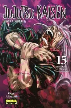 Jujutsu Kaisen 15 Ne