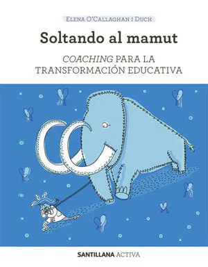 Sant Activa Coaching Transf Educativa