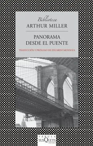 Panorama Desde el Puente