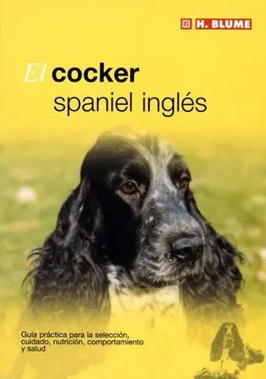 El Cocker Spaniel Inglés