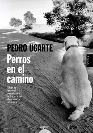 Perros en el Camino
