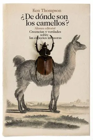 ¿De Dónde Son los Camellos?