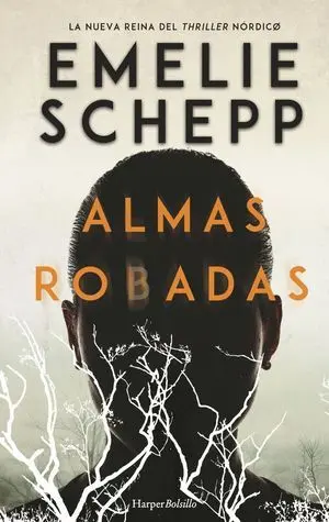 Almas Robadas