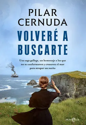 Volveré a Buscarte