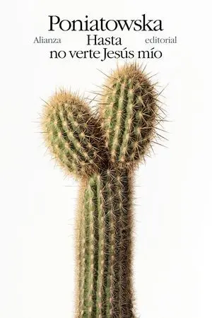 Hasta no Verte Jesús mío