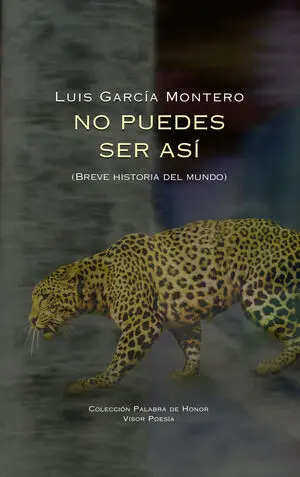 No Puedes Ser Asi