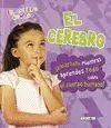 El Cerebro