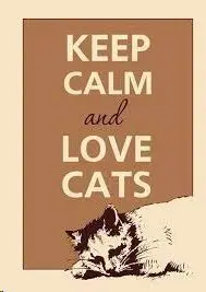 Keep Calm y Aprende de los Gatos