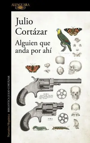 Alguien que Anda por Ahí