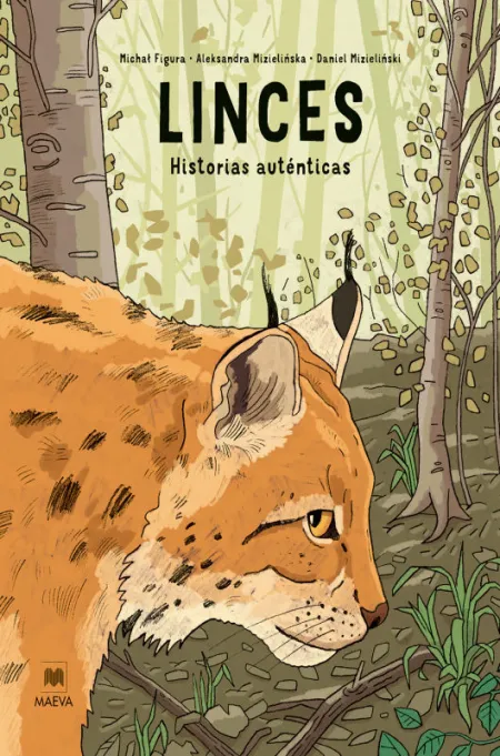 Linces