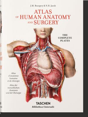 BOURGERY ATLAS OF ANATOMY