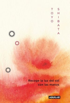 RECOGE LA LUZ DEL SOL CON LAS MANOS